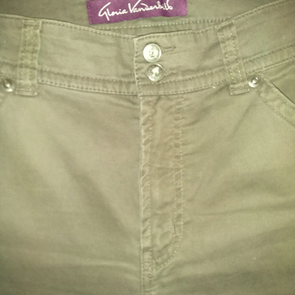 Gloria Vanderbilt Shorts..14